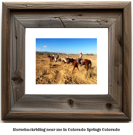 horseback riding near me in Colorado Springs, Colorado